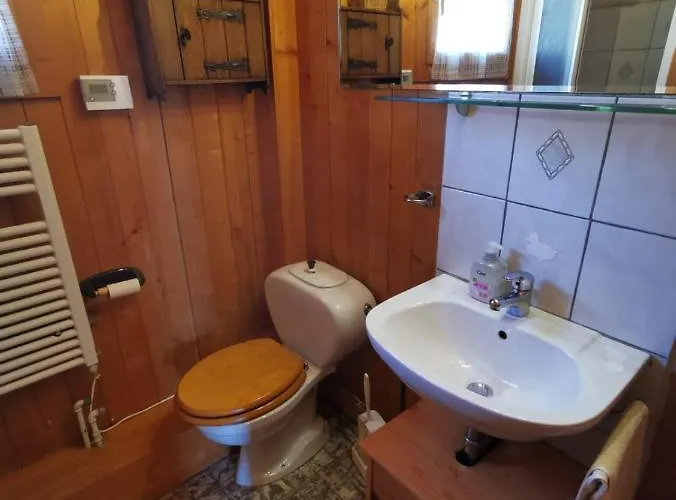 Chalet Traditionnel Avec Jacuzzi Exterieur Bex